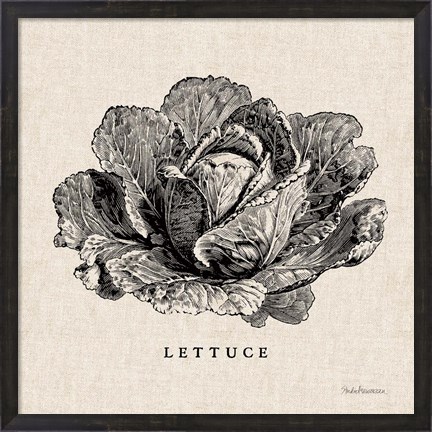 Framed Burlap Vegetable BW Sketch Lettuce Print