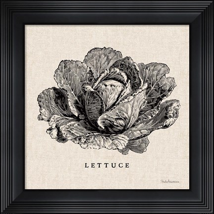 Framed Burlap Vegetable BW Sketch Lettuce Print