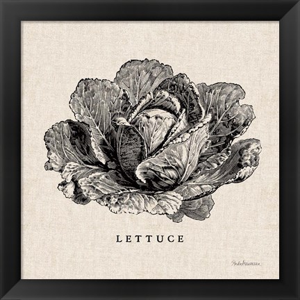 Framed Burlap Vegetable BW Sketch Lettuce Print