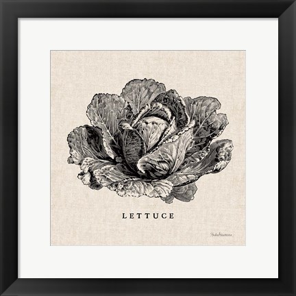 Framed Burlap Vegetable BW Sketch Lettuce Print