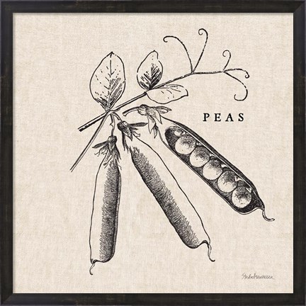 Framed Burlap Vegetable BW Sketch Peas Print