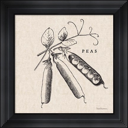 Framed Burlap Vegetable BW Sketch Peas Print