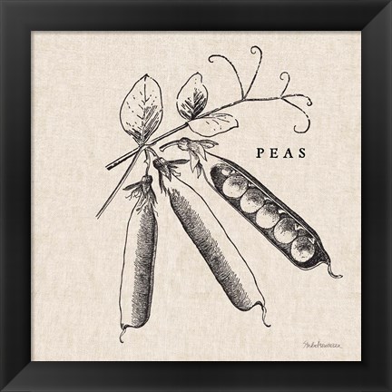 Framed Burlap Vegetable BW Sketch Peas Print