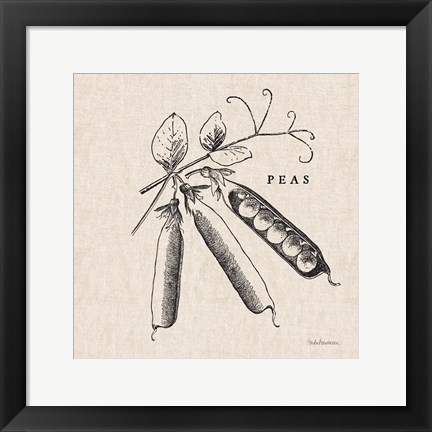 Framed Burlap Vegetable BW Sketch Peas Print