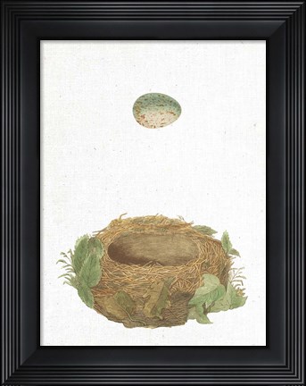Framed Spring Nest IV Print