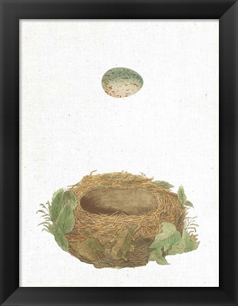 Framed Spring Nest IV Print