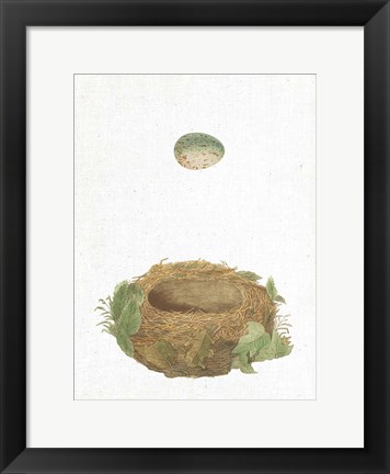 Framed Spring Nest IV Print