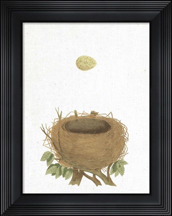 Framed Spring Nest II Print