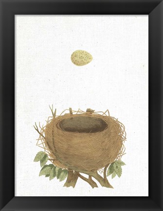 Framed Spring Nest II Print