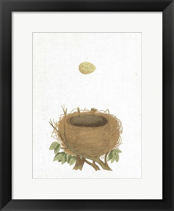 Framed Spring Nest II Print