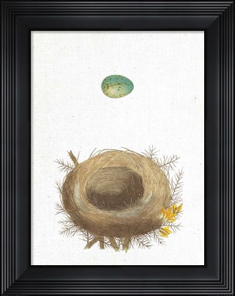 Framed Spring Nest I Print