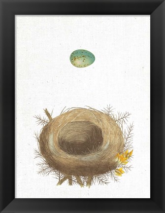 Framed Spring Nest I Print