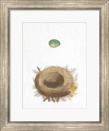 Framed Spring Nest I Print