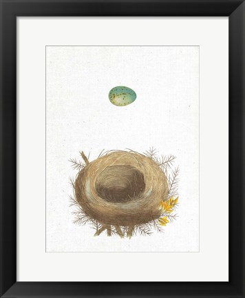 Framed Spring Nest I Print