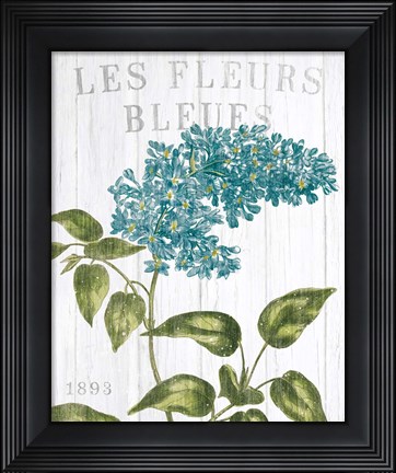 Framed Fleuriste Paris V Print