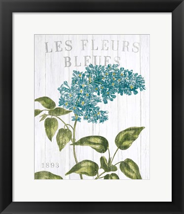 Framed Fleuriste Paris V Print