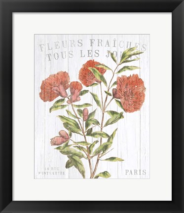 Framed Fleuriste Paris III Print