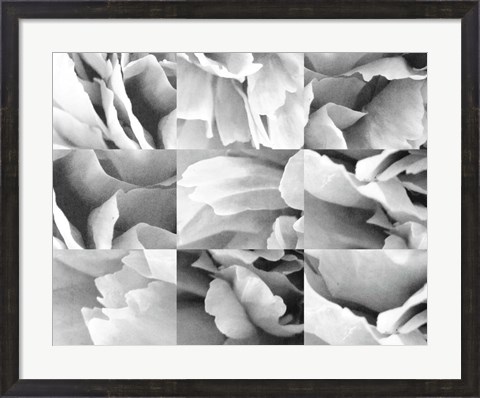 Framed Dreamy Peony Collage Print