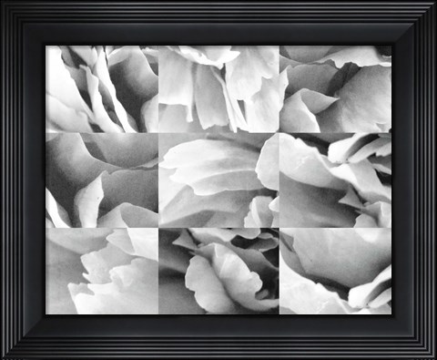 Framed Dreamy Peony Collage Print