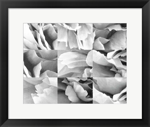 Framed Dreamy Peony Collage Print