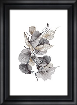Framed Aliferous Print