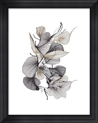 Framed Aliferous Print