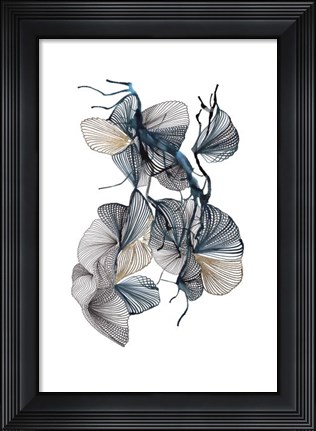 Framed Amal Print