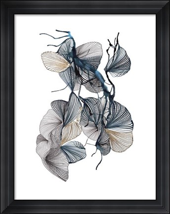 Framed Amal Print