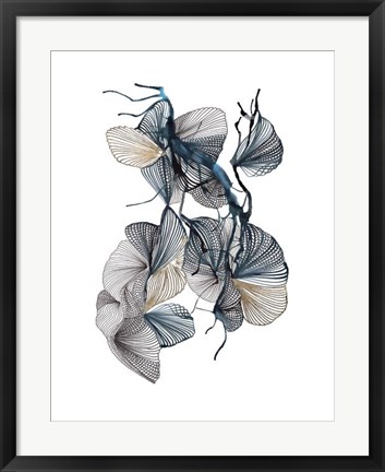 Framed Amal Print