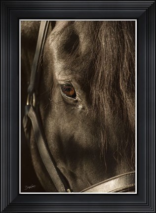 Framed Their Eyes are the Window to their Souls Print