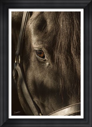 Framed Their Eyes are the Window to their Souls Print