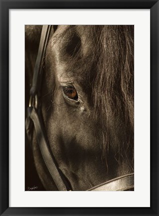 Framed Their Eyes are the Window to their Souls Print