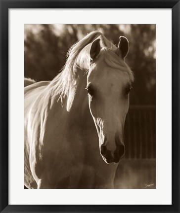 Framed Jewel Print