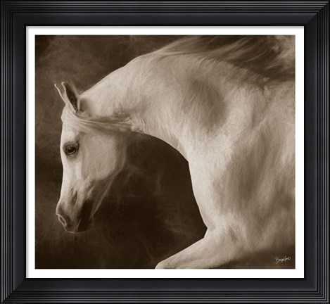 Framed Tag Impression Print