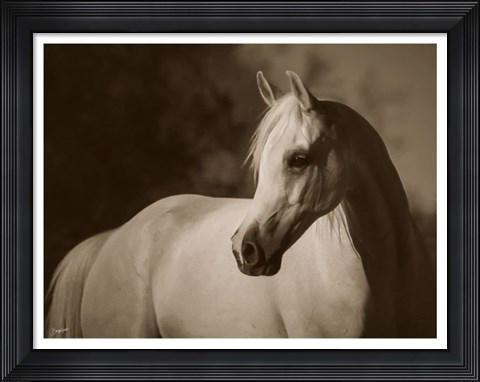 Framed For Love Alone Print