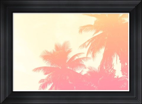 Framed Coconut Palm Trees Print