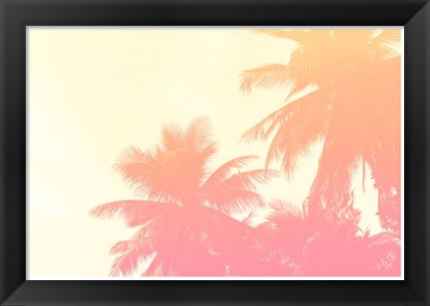 Framed Coconut Palm Trees Print