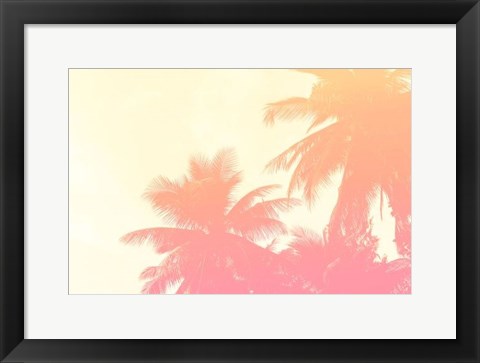 Framed Coconut Palm Trees Print