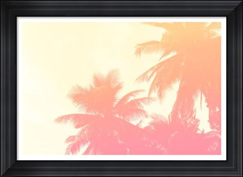 Framed Coconut Palm Trees Print
