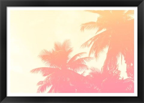 Framed Coconut Palm Trees Print