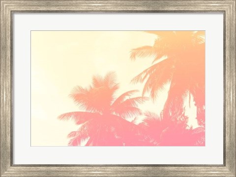Framed Coconut Palm Trees Print