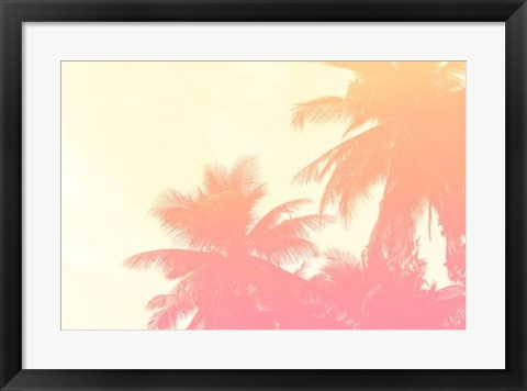 Framed Coconut Palm Trees Print