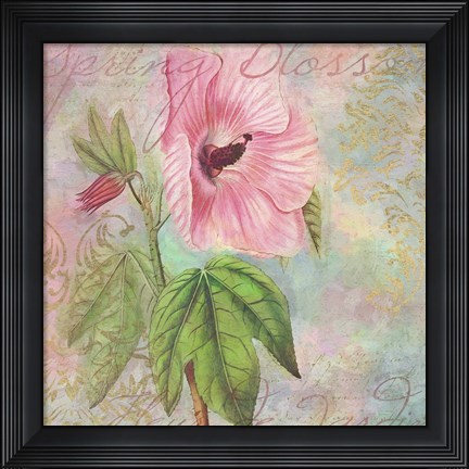 Framed Hollyhock Print