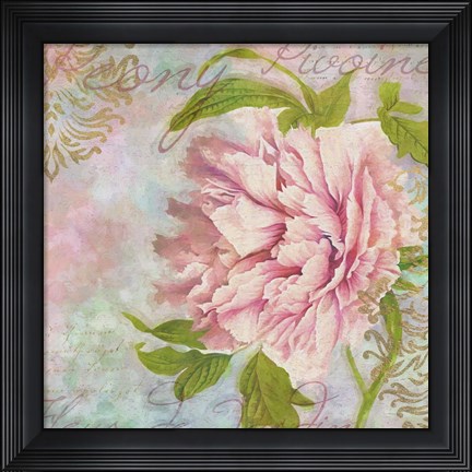 Framed Peony Print
