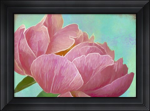Framed Pink Peony Print