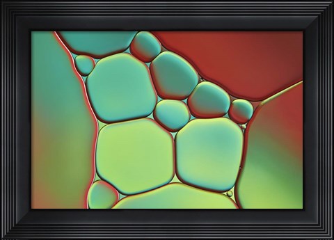 Framed Red And Mint Pebbles Print