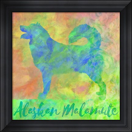 Framed Alaskan Malamute Print