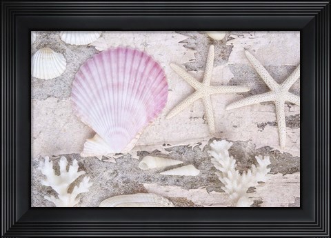 Framed Beach Treasures IV Print