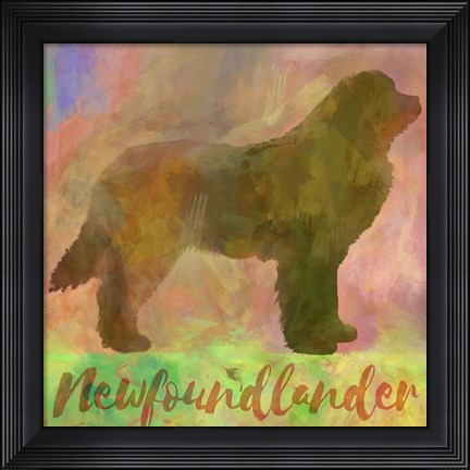 Framed Newfoundlander Dog Print