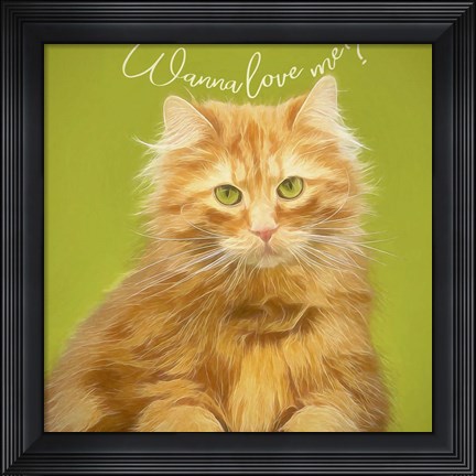 Framed Wanna Love Me Cat Print